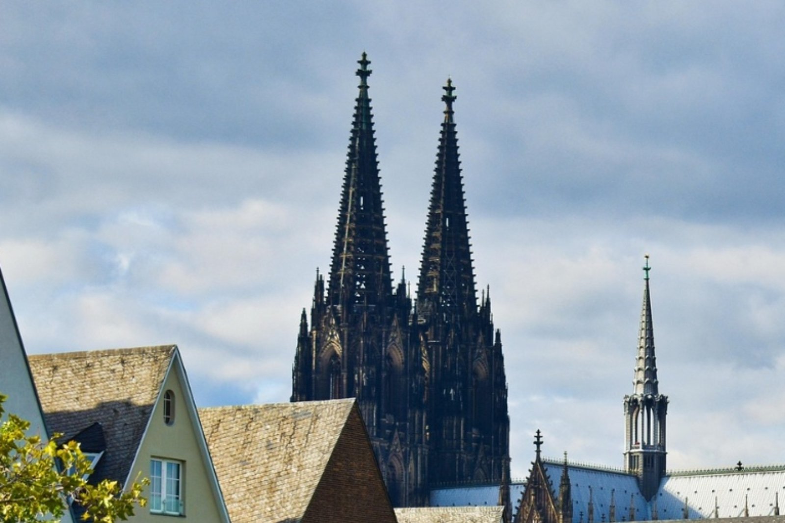 Offener Brief